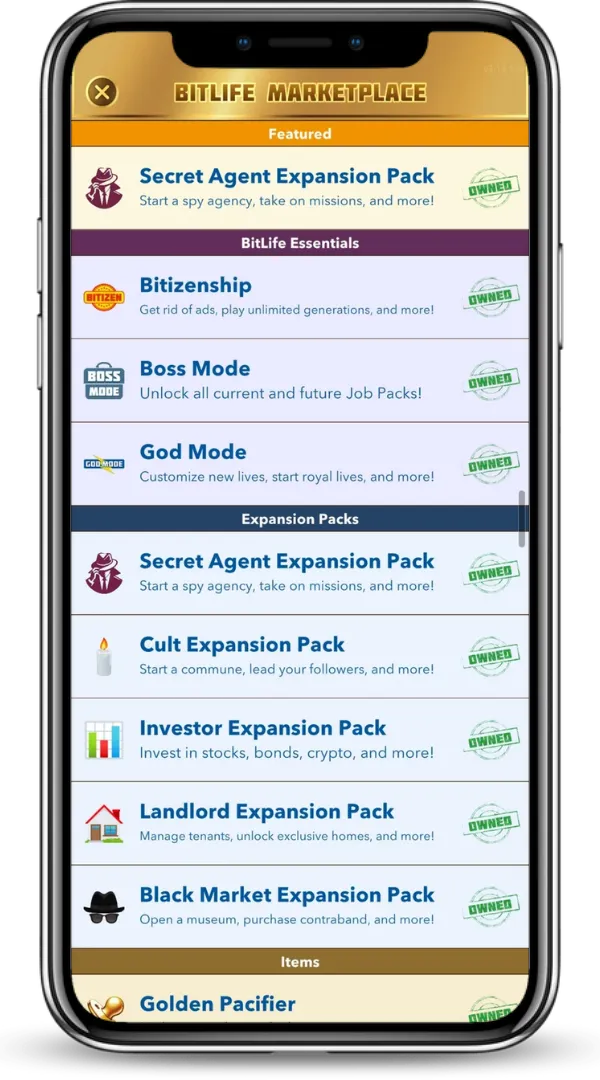 Offline Play Feature