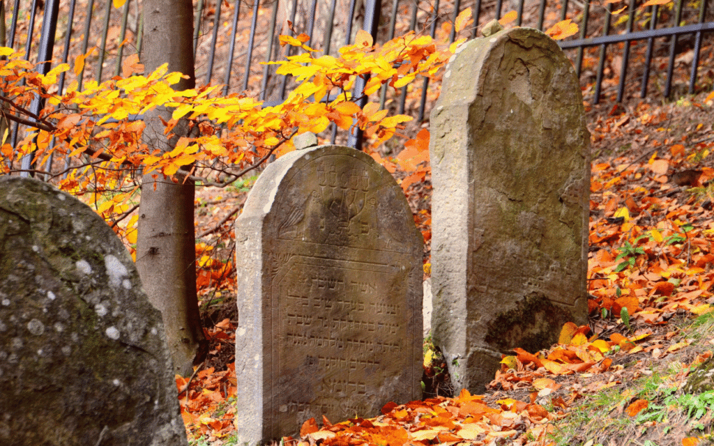 Mortician in BitLife